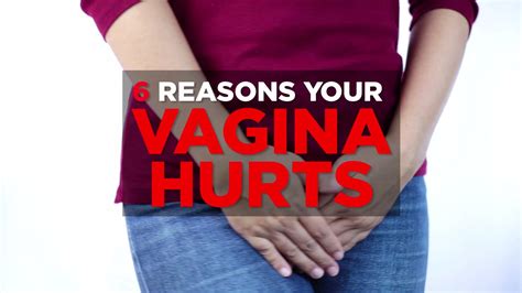 how to suck|We Asked 15 People With Vaginas How to Make Oral Sex Even。